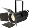 fresnel 300w